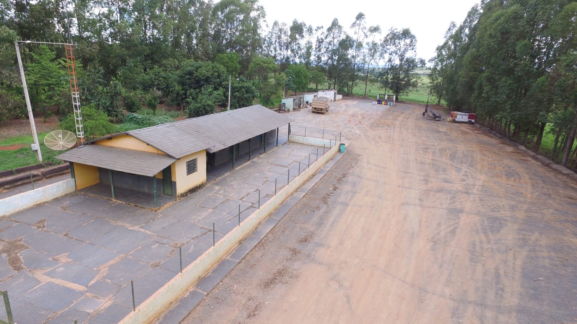 Foto Floresta Eucalipto