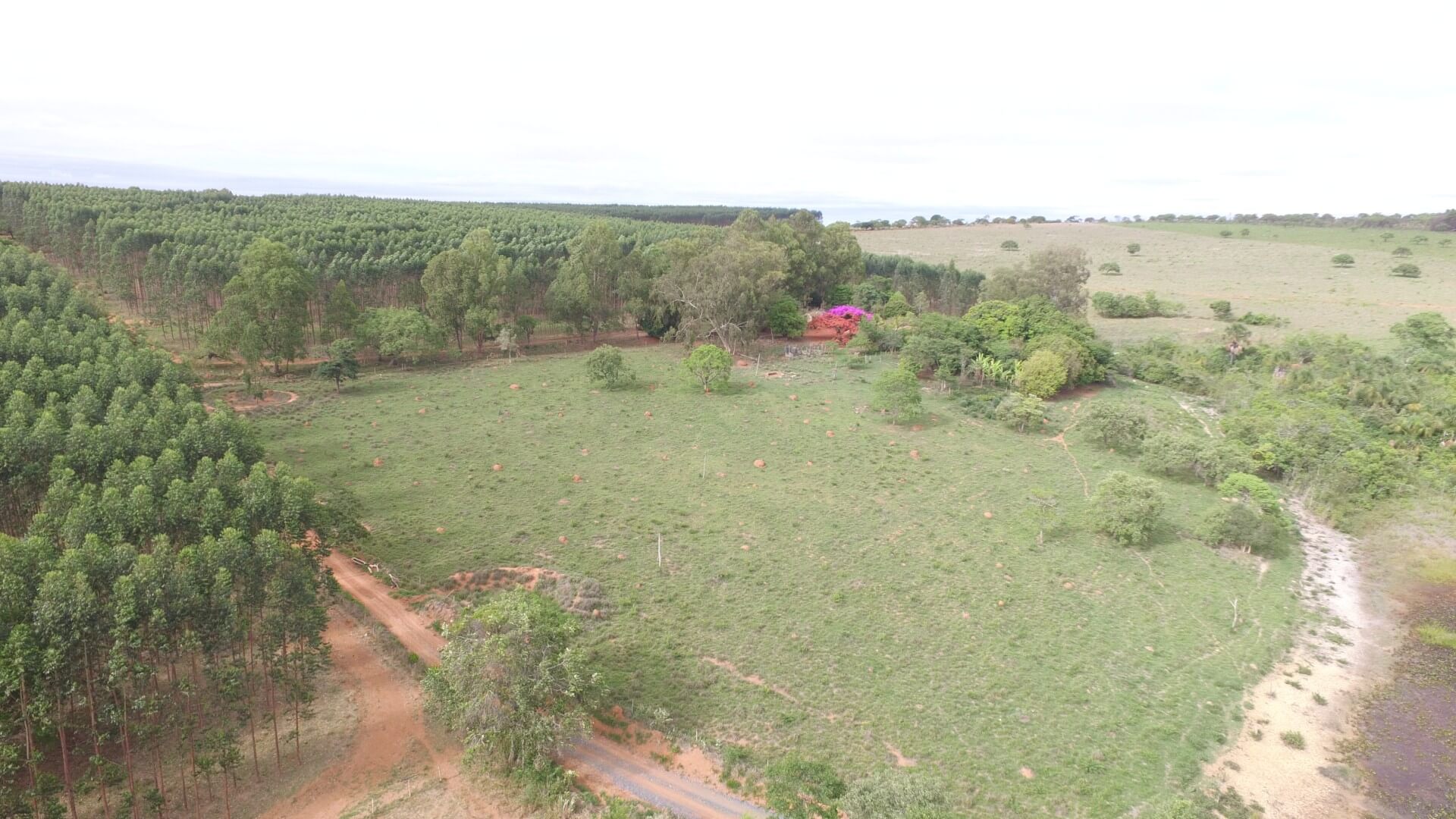 Foto Reserva Quilombo