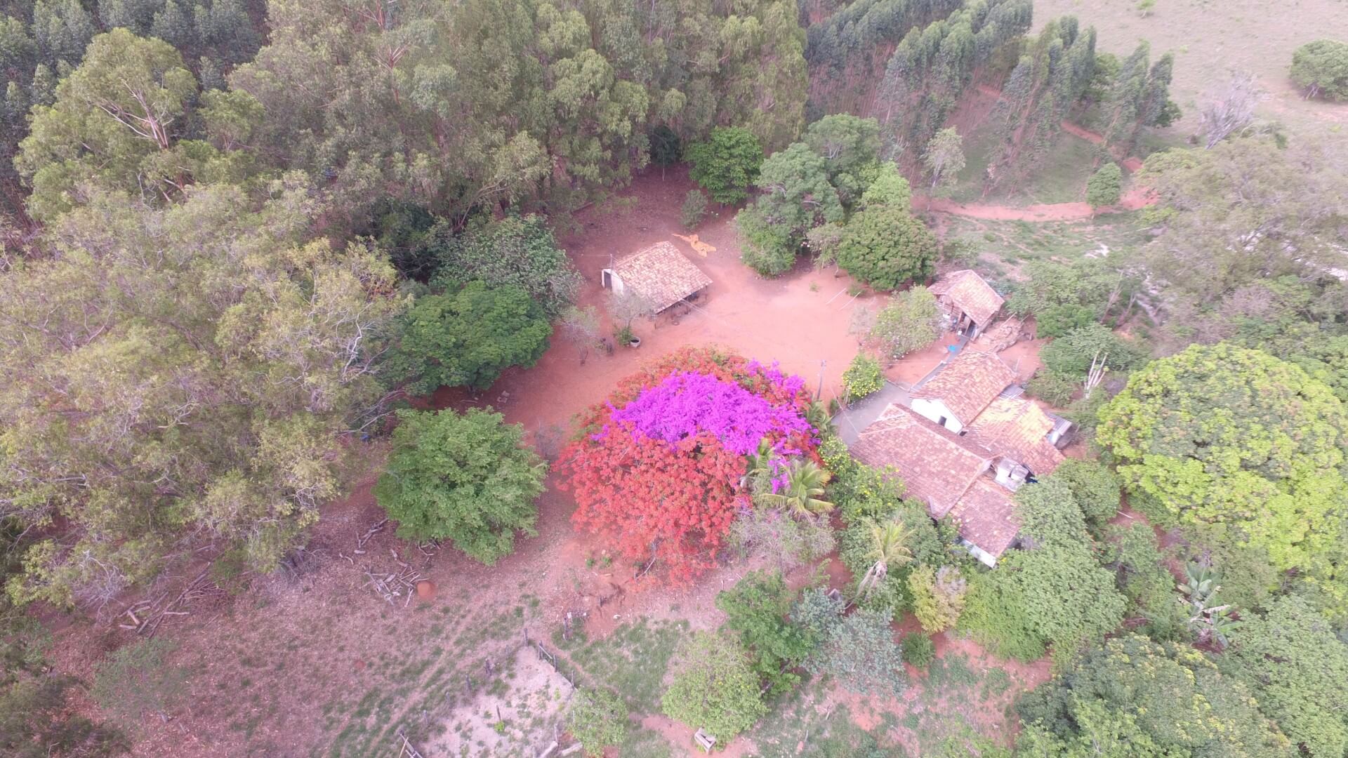 Foto Reserva Quilombo